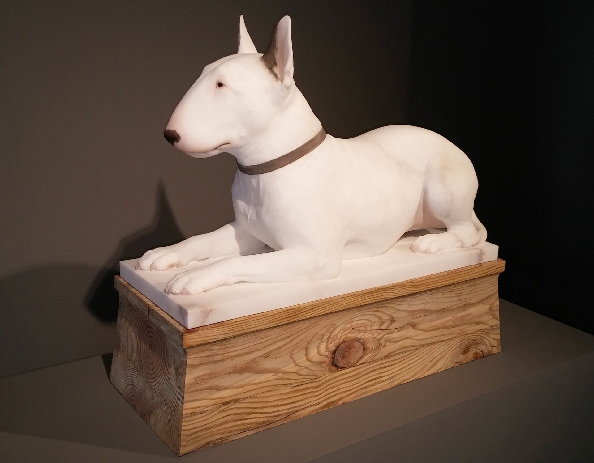 Des sculptures de chiens et chats par Gerard Mas les sculptures de chiens et chats par Gerard Mas 2 les-sculptures-de-chiens-et-chats-par-Gerard-Mas-2