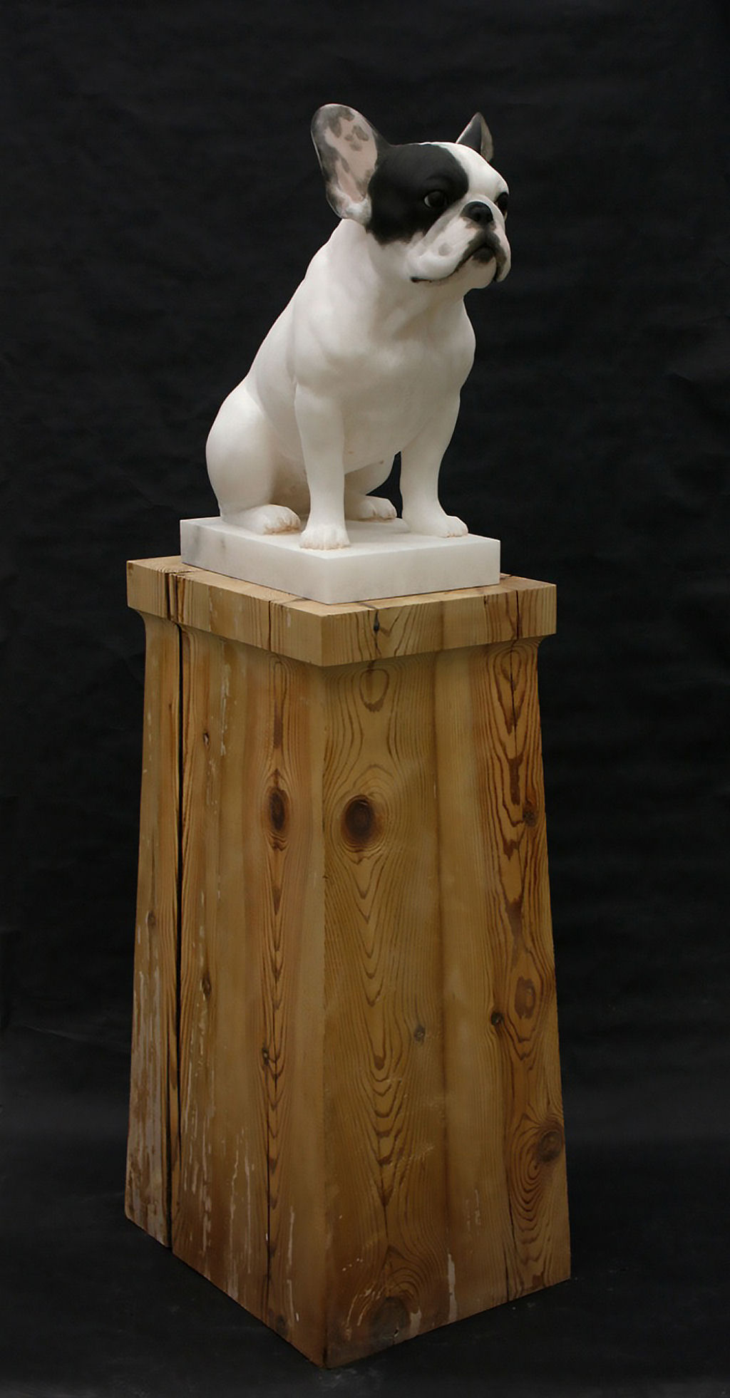 Des sculptures de chiens et chats par Gerard Mas les sculptures de chiens et chats par Gerard Mas 4 les-sculptures-de-chiens-et-chats-par-Gerard-Mas-4