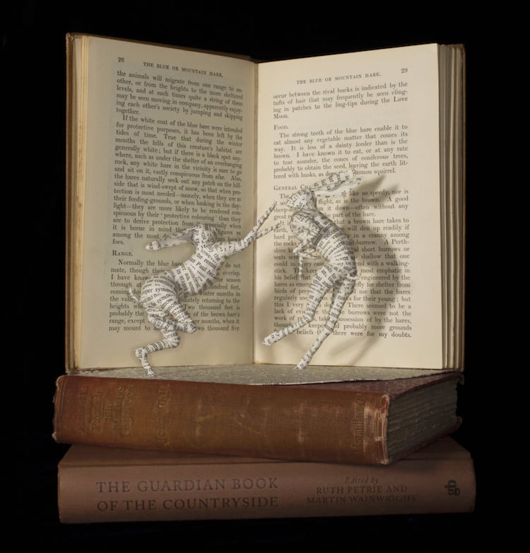 Les sculptures de livres de Emma Taylor Les sculptures de livres de Emma Taylor 15 Les-sculptures-de-livres-de-Emma-Taylor-15