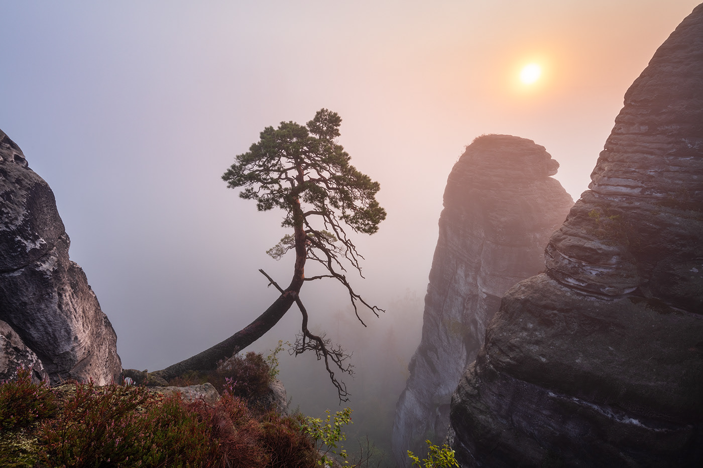 Summer Morning - lever de soleil sur le massif gréseux de l'Elbe par Martin Rak Summer Morning lever de soleil sur le massif greseux de l Elbe par Martin Rak 2 Summer-Morning-lever-de-soleil-sur-le-massif-greseux-de-l-Elbe-par-Martin-Rak-2