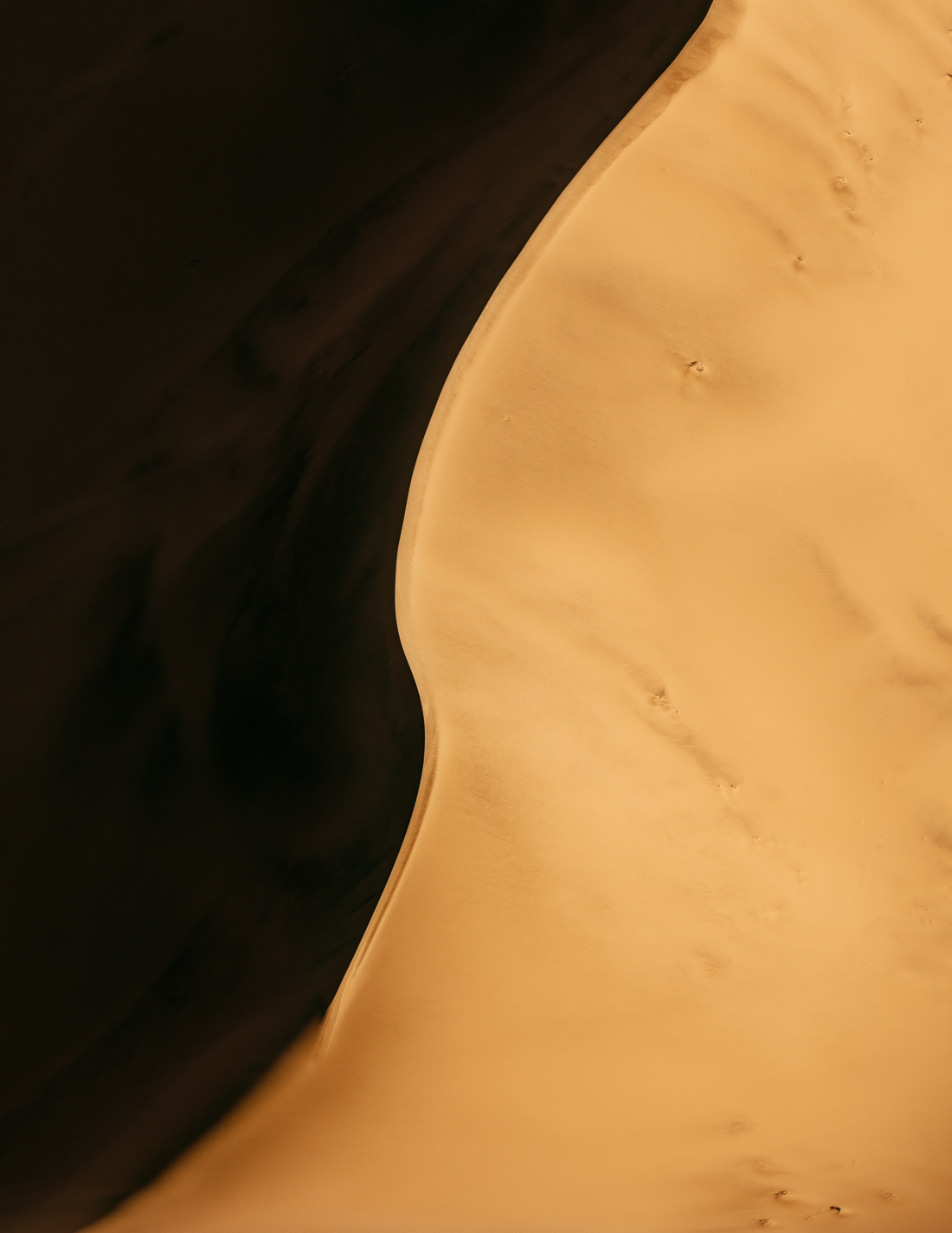 The sand series - les dunes de sables de Namibie par Tom Hegen The sand series les dunes de sables de Nambie par Tom Hegen 7 The-sand-series–les-dunes-de-sables-de-Nambie-par-Tom-Hegen-7