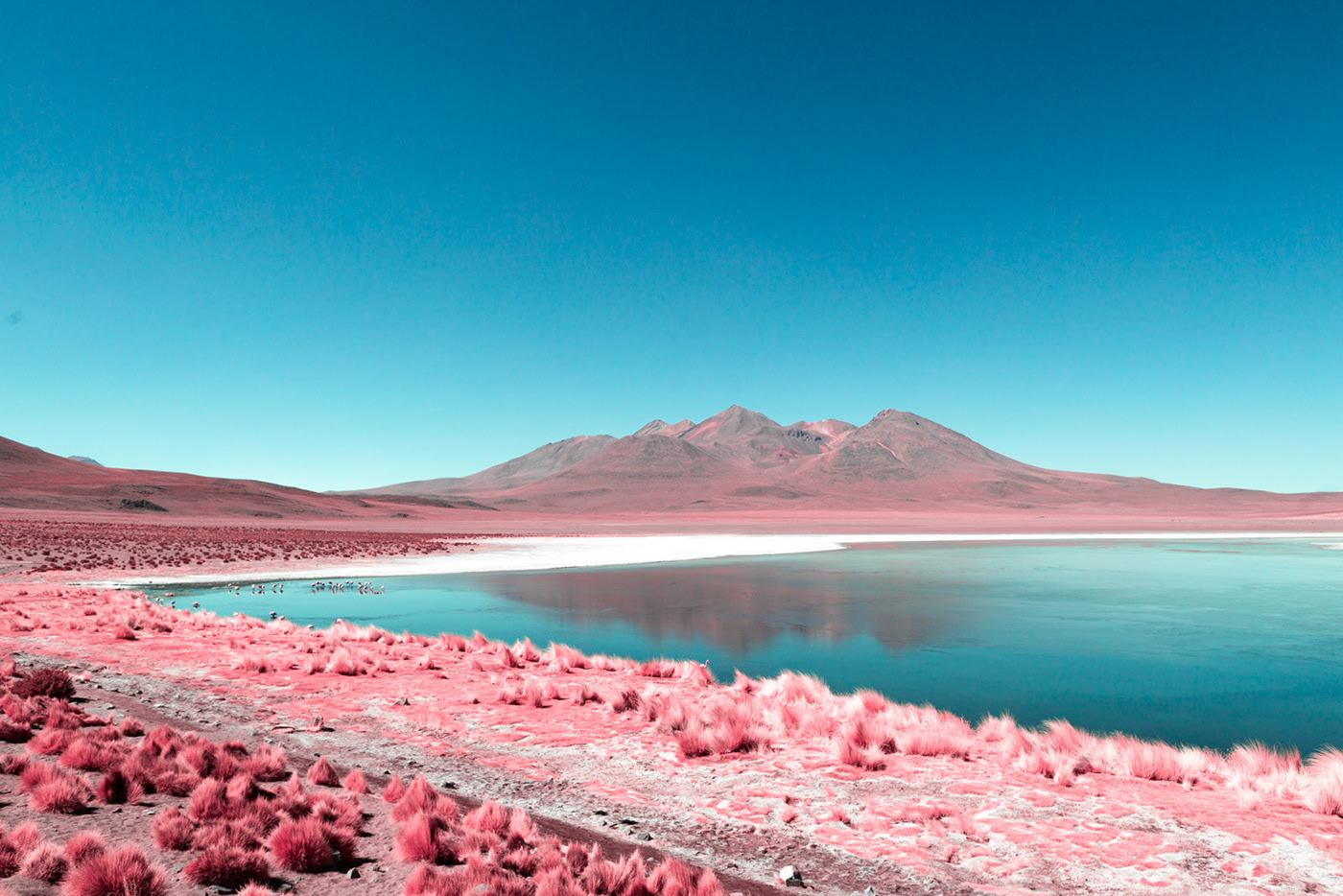 Bolivia - Infraland - le Salar de Uyuni et ses alentours en infrarouge par Paolo Pettigiani Bolivia Infraland le Salar de Uyuni et ses alentours en infrarouge par Paolo Pettigiani 3 Bolivia-Infraland-le-Salar-de-Uyuni-et-ses-alentours-en-infrarouge-par-Paolo-Pettigiani-3