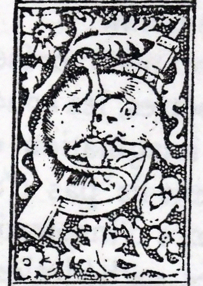 Dans les peintures médiévales, les chats aiment se lécher les fesses Dans les peintures medievales les chats aiment se lecher les fesses 14 Dans-les-peintures-medievales-les-chats-aiment-se-lecher-les-fesses-14