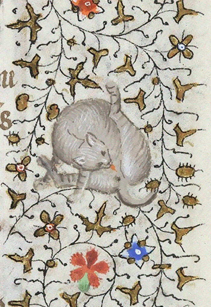 Dans les peintures médiévales, les chats aiment se lécher les fesses Dans les peintures medievales les chats aiment se lecher les fesses 2 Dans-les-peintures-medievales-les-chats-aiment-se-lecher-les-fesses-2