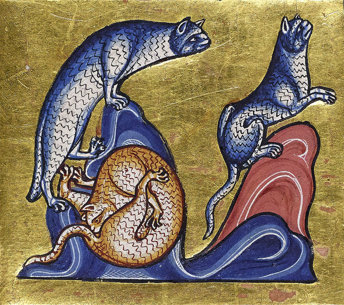 Dans les peintures médiévales, les chats aiment se lécher les fesses Dans les peintures medievales les chats aiment se lecher les fesses 5 Dans-les-peintures-medievales-les-chats-aiment-se-lecher-les-fesses-5