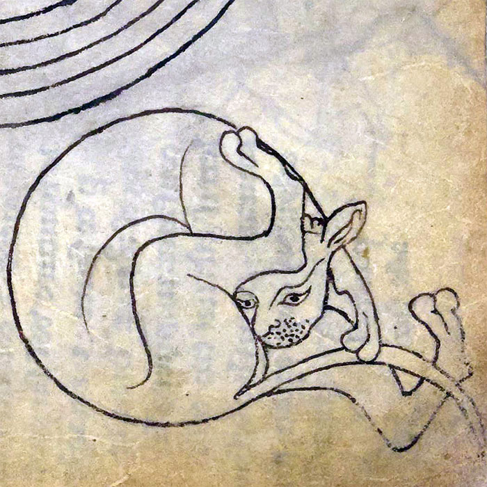 Dans les peintures médiévales, les chats aiment se lécher les fesses Dans les peintures medievales les chats aiment se lecher les fesses 7 Dans-les-peintures-medievales-les-chats-aiment-se-lecher-les-fesses-7