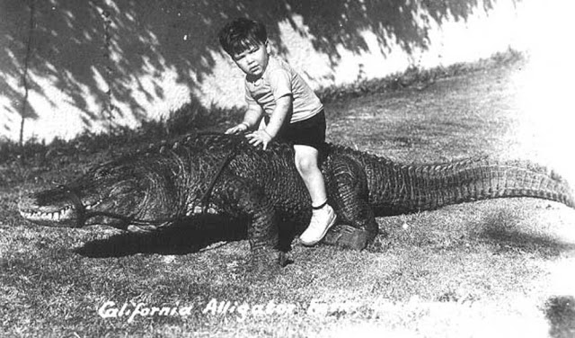 Début du 20eme siècle, les enfants jouaient avec les alligators... Debut du 20eme siecle les enfants jouaient avec les alligators 3 Debut-du-20eme-siecle-les-enfants-jouaient-avec-les-alligators-3