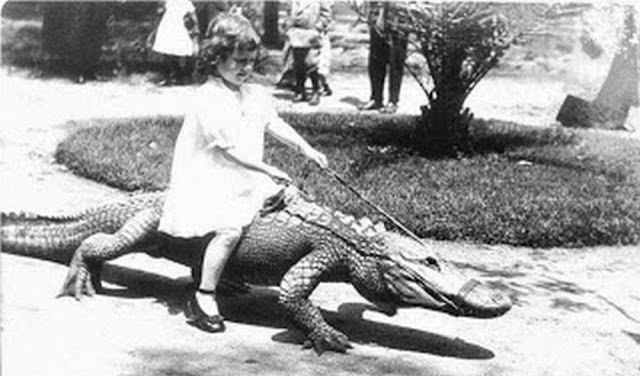 Début du 20eme siècle, les enfants jouaient avec les alligators... Debut du 20eme siecle les enfants jouaient avec les alligators 5 Debut-du-20eme-siecle-les-enfants-jouaient-avec-les-alligators-5