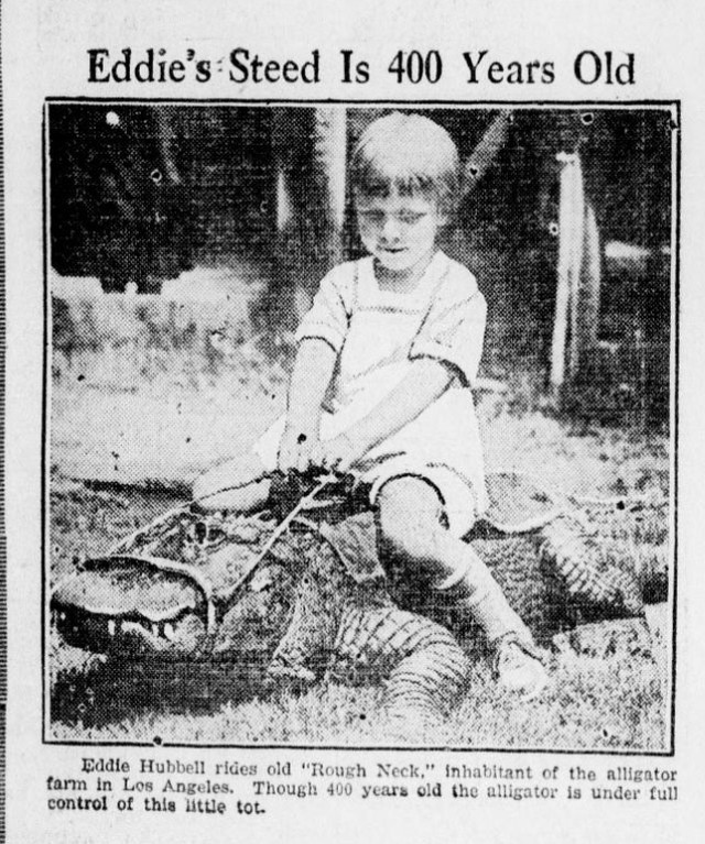 Début du 20eme siècle, les enfants jouaient avec les alligators... Debut du 20eme siecle les enfants jouaient avec les alligators 8 Debut-du-20eme-siecle-les-enfants-jouaient-avec-les-alligators-8