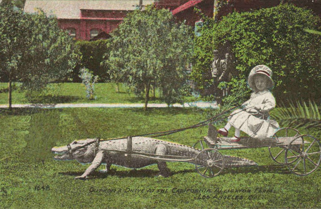 Début du 20eme siècle, les enfants jouaient avec les alligators... Debut du 20eme siecle les enfants jouaient avec les alligators 9 Debut-du-20eme-siecle-les-enfants-jouaient-avec-les-alligators-9