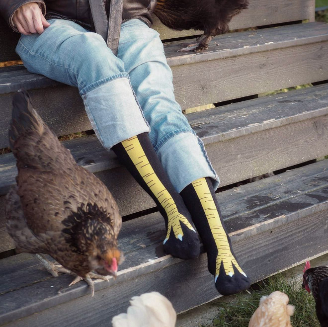 Des chaussettes pattes de poulet Des chaussettes pattes de poulet 18 Des-chaussettes-pattes-de-poulet-18