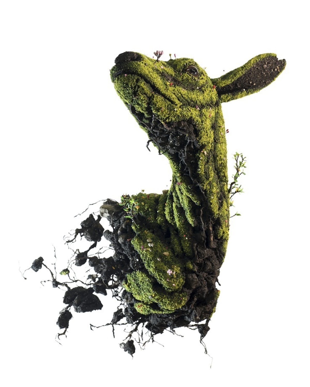 Les sculptures végétales de Émeric Chantier Les sculptures vegetales de emeric Chantier 13 Les-sculptures-vegetales-de-emeric-Chantier-13