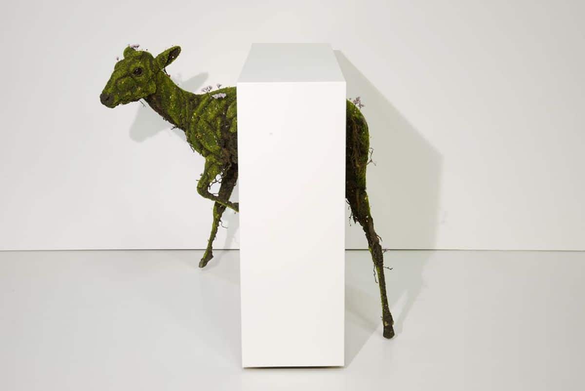 Les sculptures végétales de Émeric Chantier Les sculptures vegetales de emeric Chantier 9 Les-sculptures-vegetales-de-emeric-Chantier-9