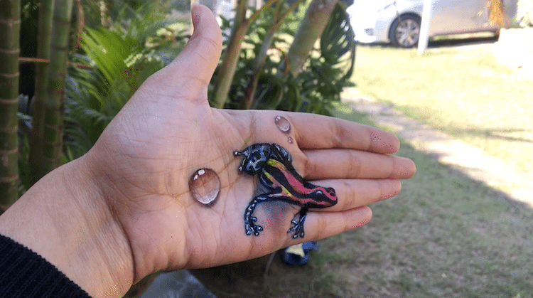 Des illusions 3D dans la main par Iantha Naicker Des illusions 3D dans la main par Iantha Naicker 11 Des-illusions-3D-dans-la-main-par-Iantha-Naicker-11