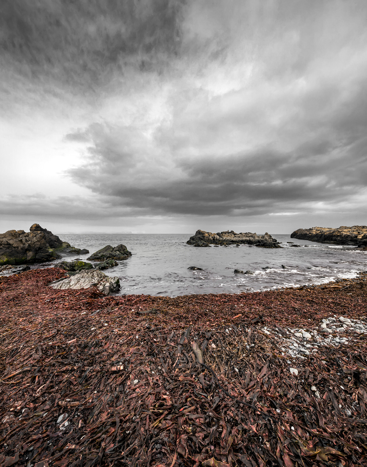 Natu.rae X – de nouvelles magnifiques photos de nature par Gustav Willeit Natu rae X–de nouvelles magnifiques photos de nature par Gustav Willeit 7 Natu-rae-X–de-nouvelles-magnifiques-photos-de-nature-par-Gustav-Willeit-7