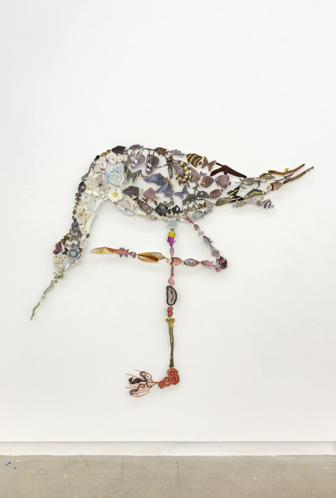 The Shadow of Sirius - des collages de faune et de flore par Jennifer Murphy The Shadow of Sirius des collages de faune et de flore par Jennifer Murphy 10 The-Shadow-of-Sirius-des-collages-de-faune-et-de-flore-par-Jennifer-Murphy-10