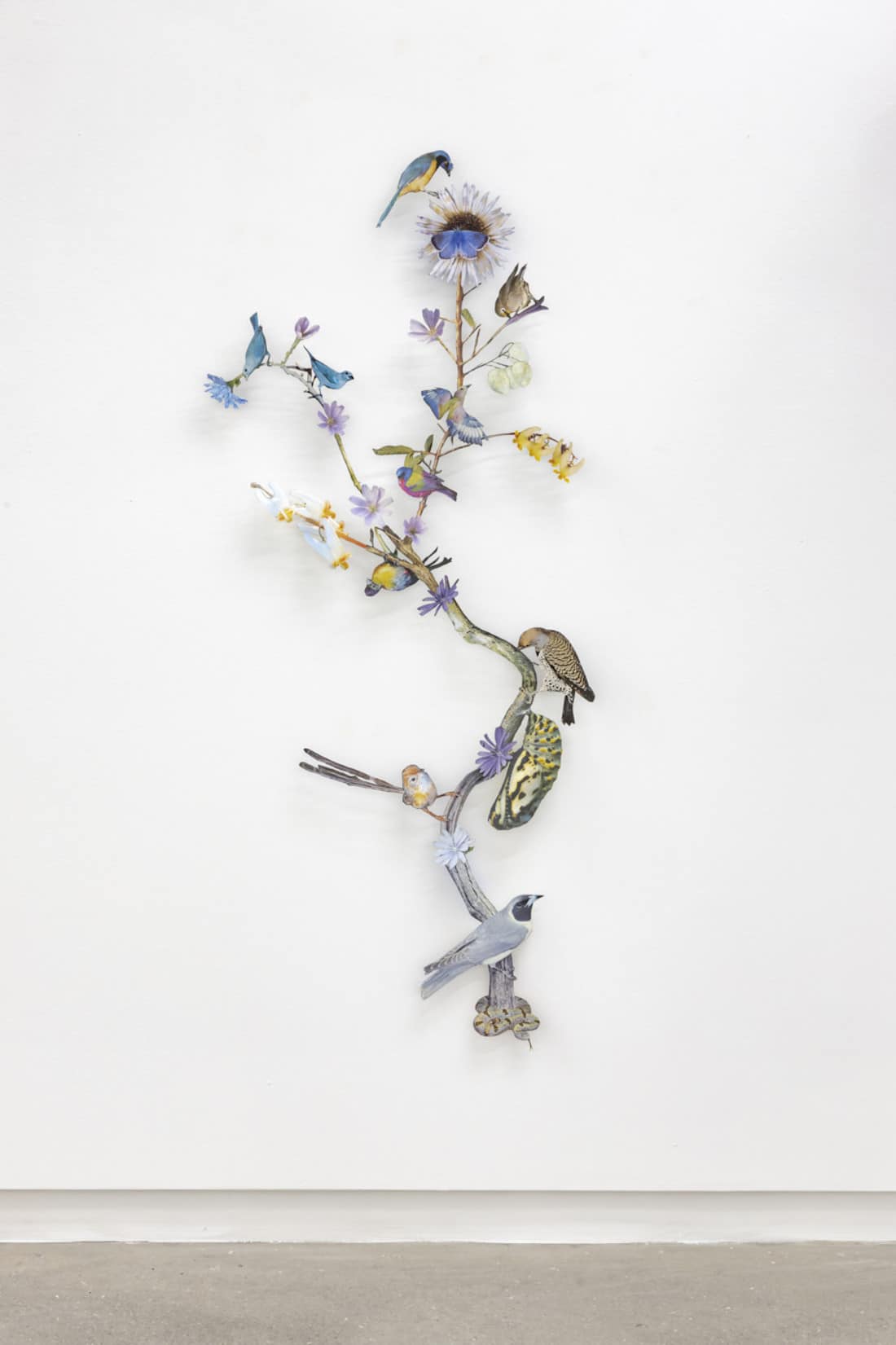 The Shadow of Sirius - des collages de faune et de flore par Jennifer Murphy The Shadow of Sirius des collages de faune et de flore par Jennifer Murphy 11 The-Shadow-of-Sirius-des-collages-de-faune-et-de-flore-par-Jennifer-Murphy-11