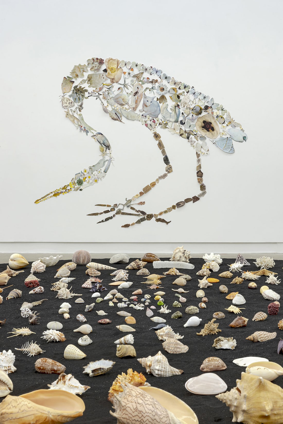 The Shadow of Sirius - des collages de faune et de flore par Jennifer Murphy The Shadow of Sirius des collages de faune et de flore par Jennifer Murphy 12 The-Shadow-of-Sirius-des-collages-de-faune-et-de-flore-par-Jennifer-Murphy-12