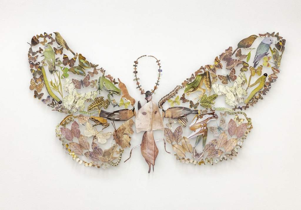 The Shadow of Sirius - des collages de faune et de flore par Jennifer Murphy The Shadow of Sirius des collages de faune et de flore par Jennifer Murphy 7 The-Shadow-of-Sirius-des-collages-de-faune-et-de-flore-par-Jennifer-Murphy-7