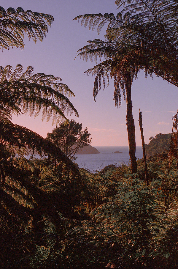 It Devours - la beauté sauvage de la Nouvelle Zélande par Chiara Zonca It Devours la beaute sauvage de la Nouvelle Zelande par Chiara Zonca 1 It-Devours-la-beaute-sauvage-de-la-Nouvelle-Zelande-par-Chiara-Zonca-1