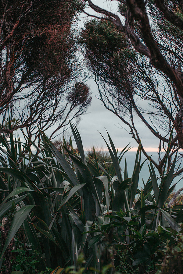 It Devours - la beauté sauvage de la Nouvelle Zélande par Chiara Zonca It Devours la beaute sauvage de la Nouvelle Zelande par Chiara Zonca 5 It-Devours-la-beaute-sauvage-de-la-Nouvelle-Zelande-par-Chiara-Zonca-5