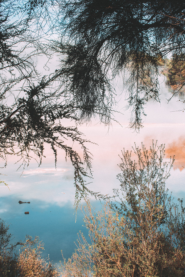 It Devours - la beauté sauvage de la Nouvelle Zélande par Chiara Zonca It Devours la beaute sauvage de la Nouvelle Zelande par Chiara Zonca 6 It-Devours-la-beaute-sauvage-de-la-Nouvelle-Zelande-par-Chiara-Zonca-6