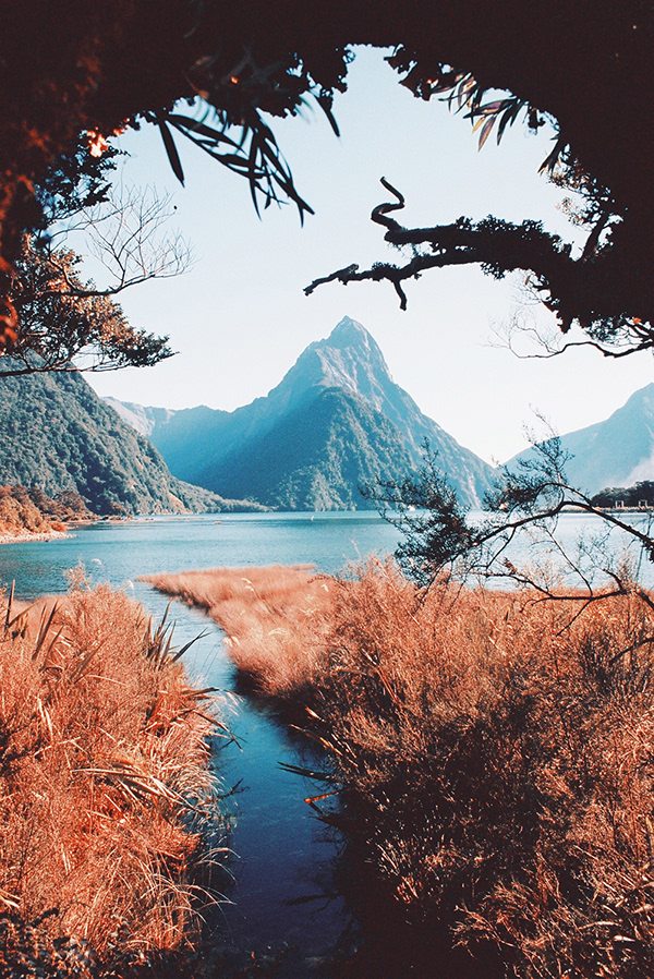 It Devours - la beauté sauvage de la Nouvelle Zélande par Chiara Zonca It Devours la beaute sauvage de la Nouvelle Zelande par Chiara Zonca 8 It-Devours-la-beaute-sauvage-de-la-Nouvelle-Zelande-par-Chiara-Zonca-8