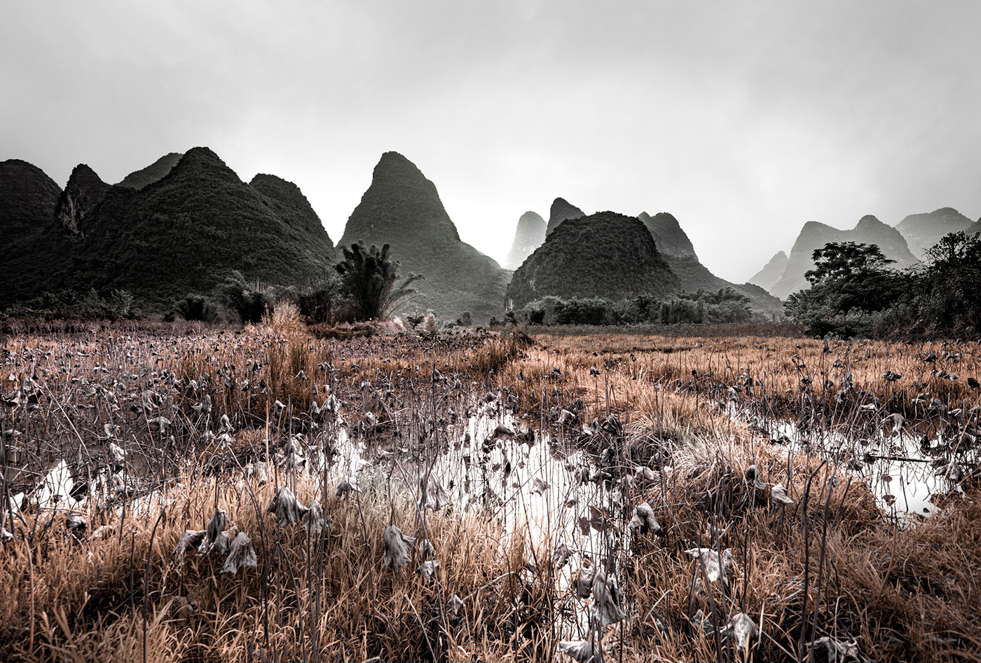 Natu.rae XI – de nouvelles magnifiques photos de nature par Gustav Willeit Natu rae XI–de nouvelles magnifiques photos de nature par Gustav Willeit 6 Natu-rae-XI–de-nouvelles-magnifiques-photos-de-nature-par-Gustav-Willeit-6