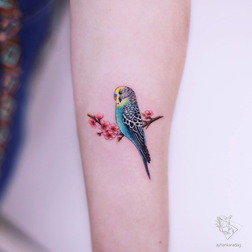 Les tatouages minimalistes et colorés de Ayhan Karadag Les tatouages minimalistes et colores de Ayhan Karadag 8 Les-tatouages-minimalistes-et-colores-de-Ayhan-Karadag-8