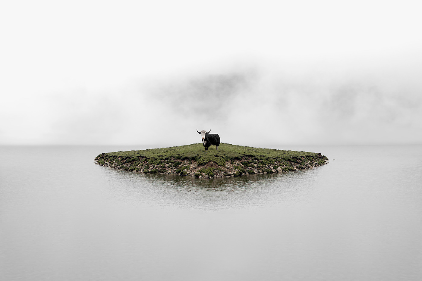 Perspe - perspective et symétrie par Gustav Willeit Perspe perspective et symetrie par Gustav Willeit 10 Perspe-perspective-et-symetrie-par-Gustav-Willeit-10