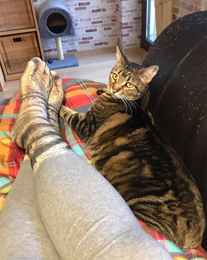 des chaussettes pattes de chat (et autres animaux) des chaussettes pattes de chat et autres animaux 6 des-chaussettes-pattes-de-chat-et-autres-animaux-6