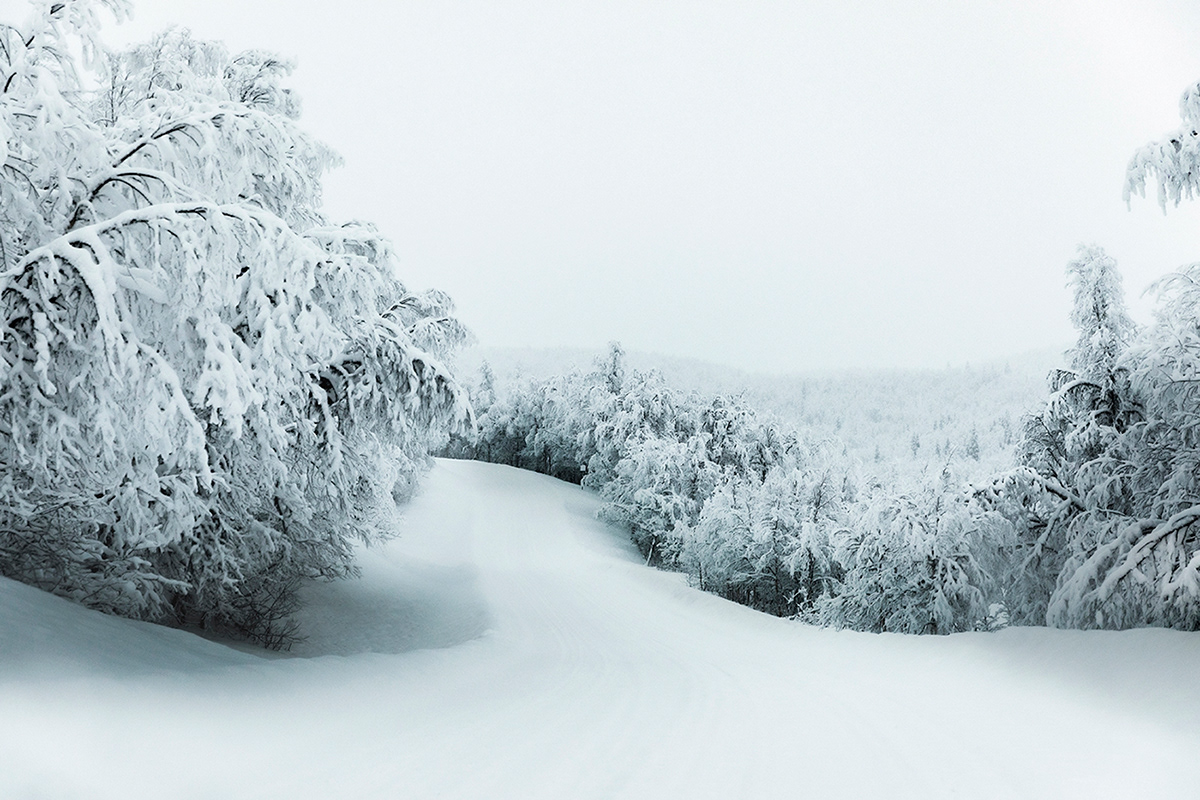 Frozen silence - le silence gelé par Claire Droppert Frozen silence le silence gele par Claire Droppert 2 Frozen-silence-le-silence-gele-par-Claire-Droppert