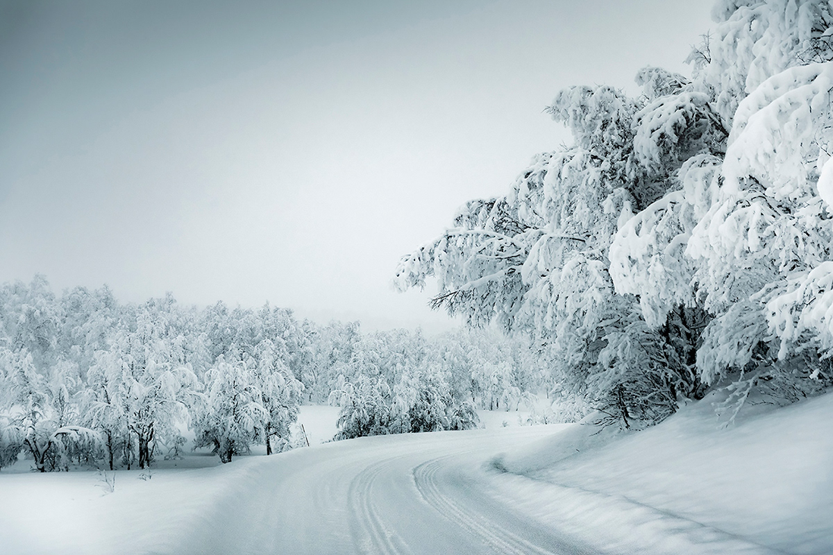 Frozen silence - le silence gelé par Claire Droppert Frozen silence le silence gele par Claire Droppert 4 Frozen-silence-le-silence-gele-par-Claire-Droppert
