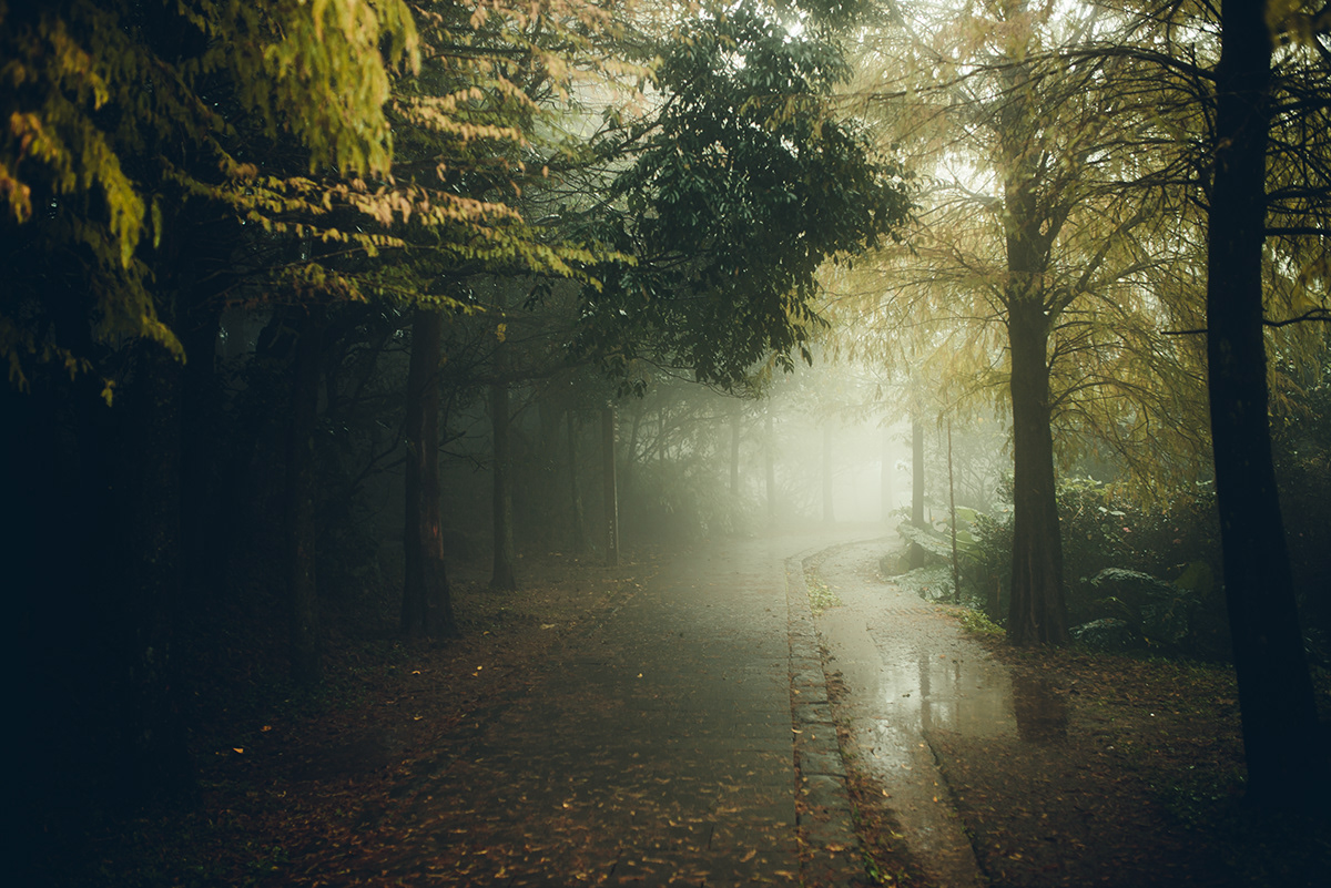 La région de Lengshuikeng à Taiwan par Bo wen Huang La region de Lengshuikeng a Taiwan par Bo wen Huang 2 La-region-de-Lengshuikeng-a-Taiwan-par-Bo-wen-Huang-2