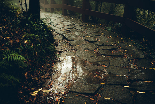 La région de Lengshuikeng à Taiwan par Bo wen Huang La region de Lengshuikeng a Taiwan par Bo wen Huang 3 La-region-de-Lengshuikeng-a-Taiwan-par-Bo-wen-Huang-3