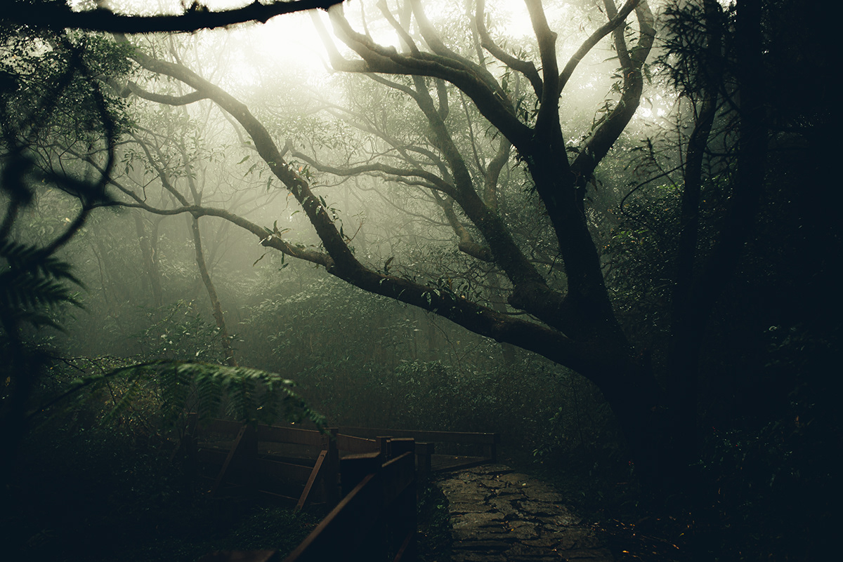 La région de Lengshuikeng à Taiwan par Bo wen Huang La region de Lengshuikeng a Taiwan par Bo wen Huang 5 La-region-de-Lengshuikeng-a-Taiwan-par-Bo-wen-Huang-5