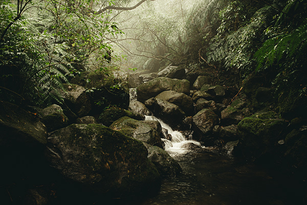 La région de Lengshuikeng à Taiwan par Bo wen Huang La region de Lengshuikeng a Taiwan par Bo wen Huang 6 La-region-de-Lengshuikeng-a-Taiwan-par-Bo-wen-Huang-6