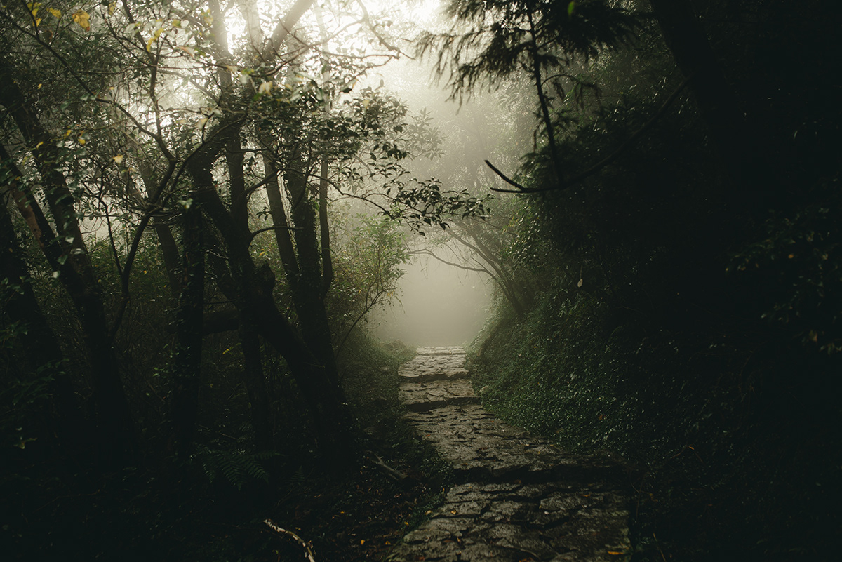 La région de Lengshuikeng à Taiwan par Bo wen Huang La region de Lengshuikeng a Taiwan par Bo wen Huang 7 La-region-de-Lengshuikeng-a-Taiwan-par-Bo-wen-Huang-7