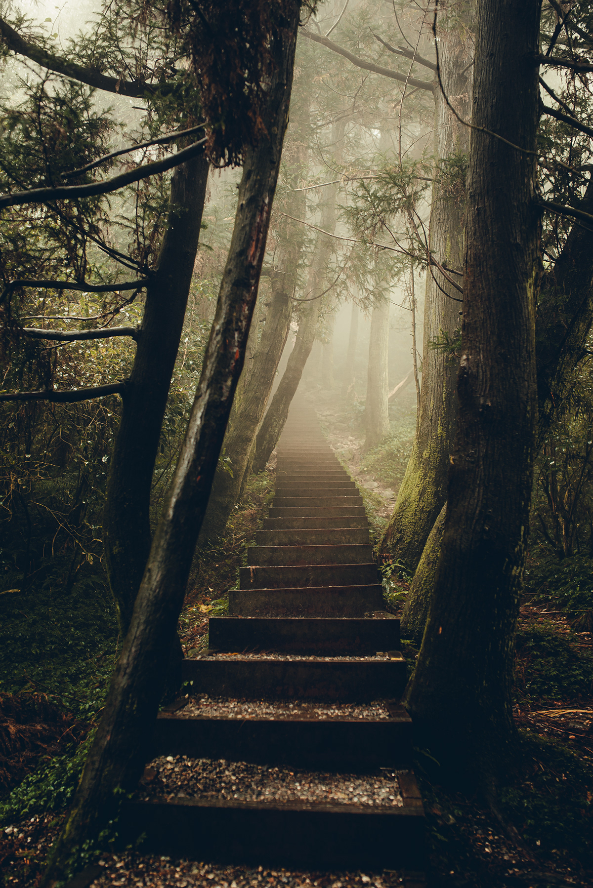 La région de Lengshuikeng à Taiwan par Bo wen Huang La region de Lengshuikeng a Taiwan par Bo wen Huang 9 La-region-de-Lengshuikeng-a-Taiwan-par-Bo-wen-Huang-9