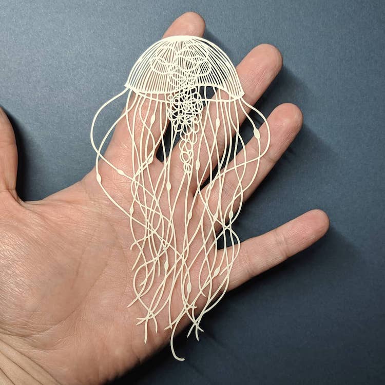 Les délicates découpes de papier de Pippa Dyrlaga Les delicates decoupes de papier de Pippa Dyrlaga 5 Les-delicates-decoupes-de-papier-de-Pippa-Dyrlaga-5