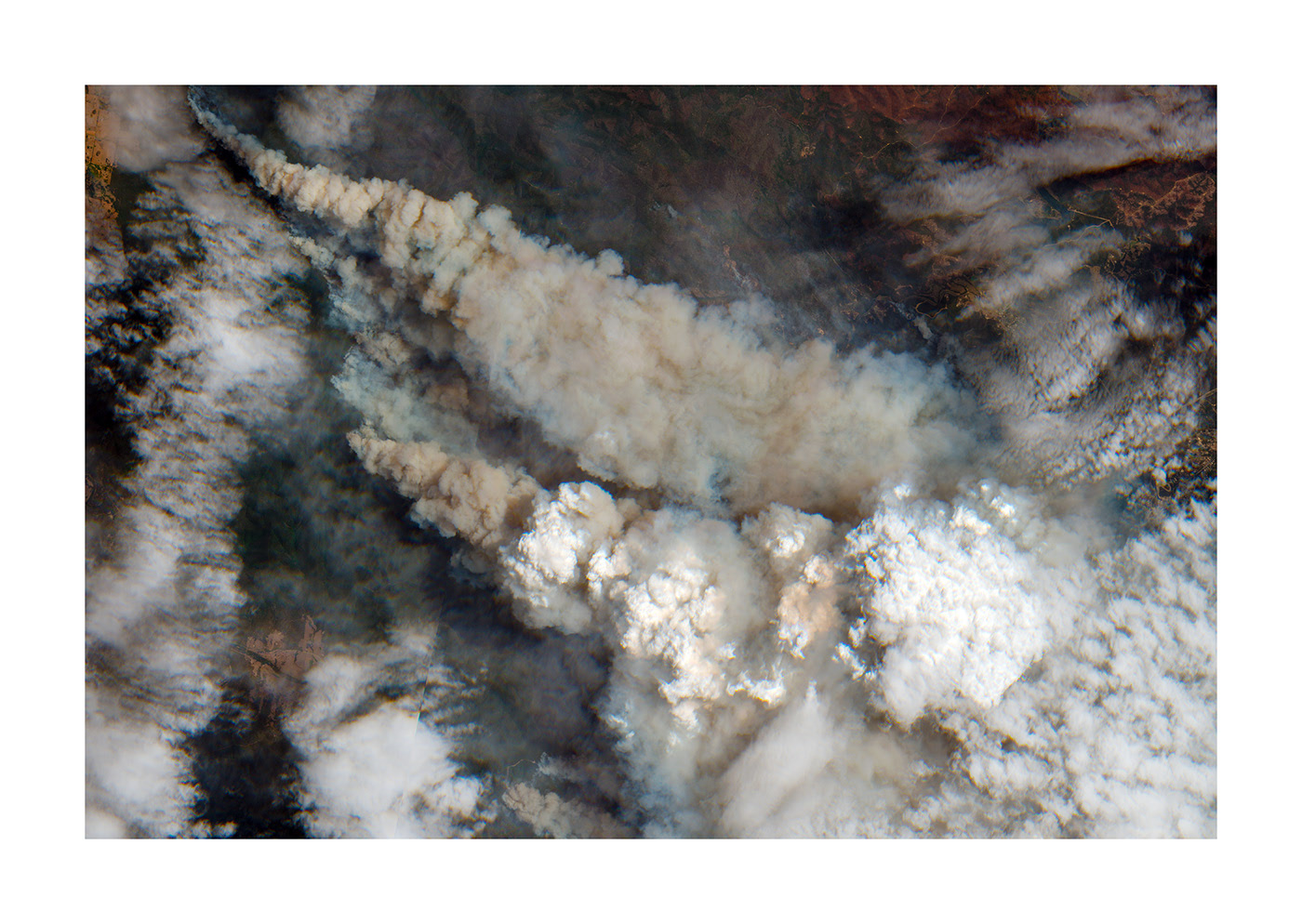 Un feu distinct IV - feux en Australie par Thomas Paturet Un feu distinct IV feux en Australie par Thomas Paturet 3 Un feu distinct IV - feux en Australie par Thomas Paturet