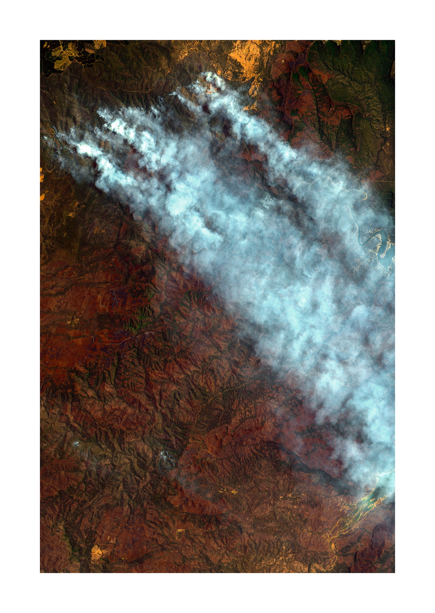 Un feu distinct IV - feux en Australie par Thomas Paturet Un feu distinct IV feux en Australie par Thomas Paturet 4 Un feu distinct IV - feux en Australie par Thomas Paturet