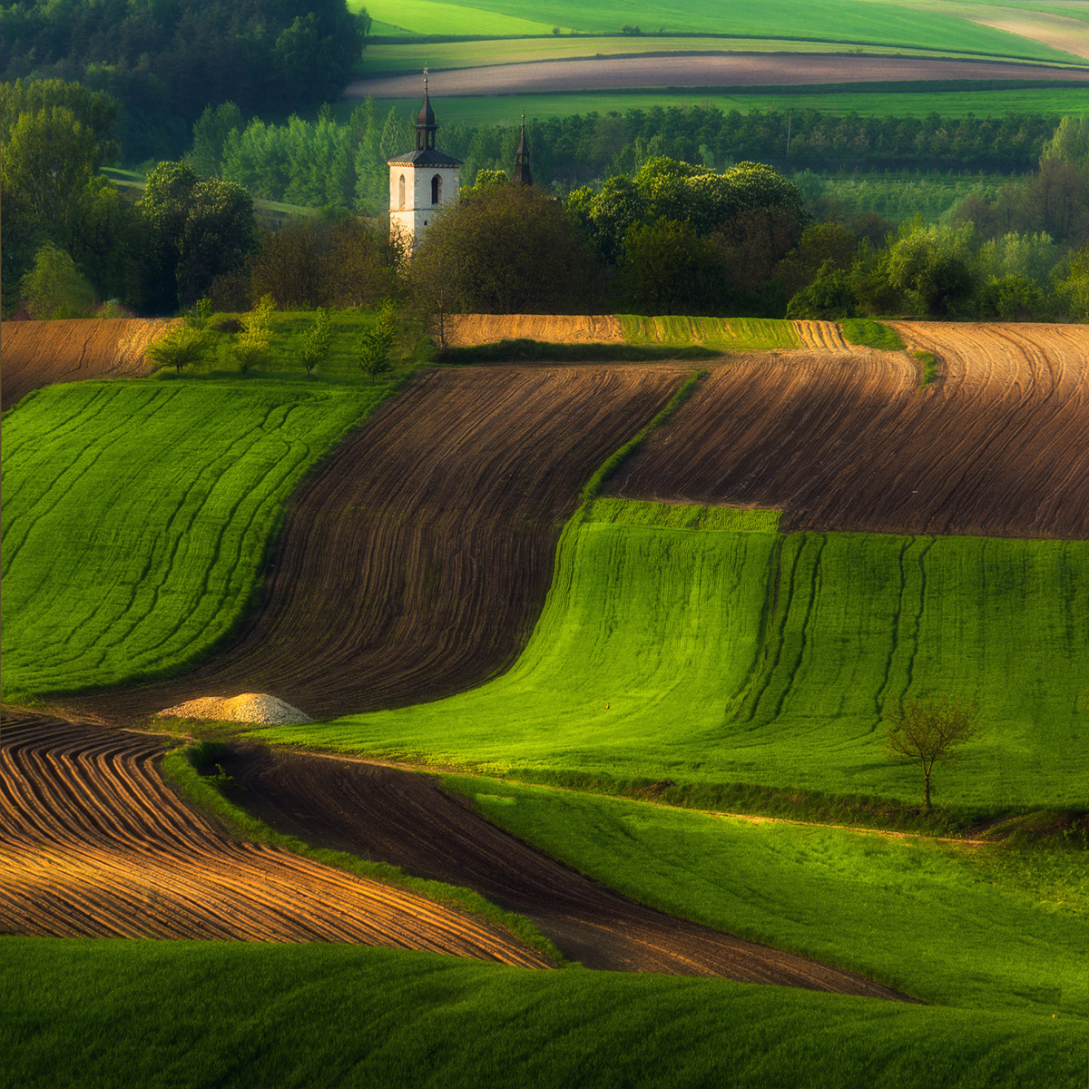 Le printemps dans les champs de Pologne par Przemyslaw Kruk Le printemps dans les champs de Pologne et republique tcheque par Przemyslaw Kruk 1 Le-printemps-dans-les-champs-de-Pologne-et-republique-tcheque-par-Przemyslaw-Kruk-1