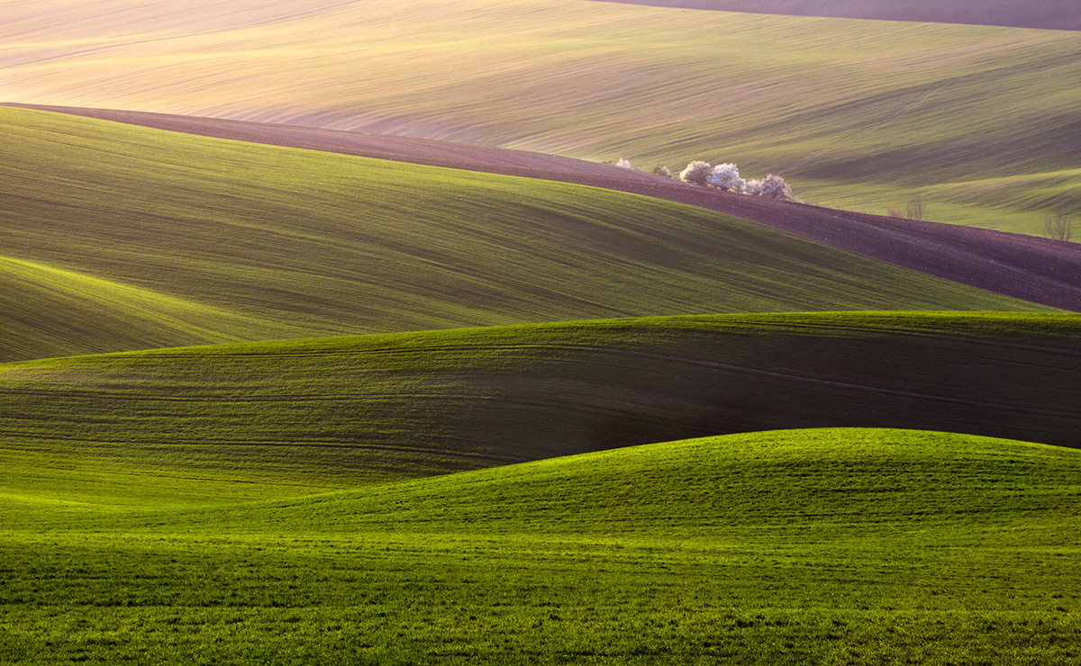 Le printemps dans les champs de Pologne par Przemyslaw Kruk Le printemps dans les champs de Pologne et republique tcheque par Przemyslaw Kruk 2 Le-printemps-dans-les-champs-de-Pologne-et-republique-tcheque-par-Przemyslaw-Kruk-2