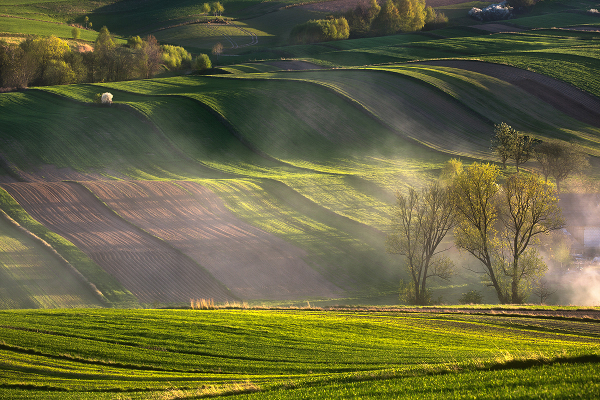 Le printemps dans les champs de Pologne par Przemyslaw Kruk Le printemps dans les champs de Pologne et republique tcheque par Przemyslaw Kruk 3 Le-printemps-dans-les-champs-de-Pologne-et-republique-tcheque-par-Przemyslaw-Kruk-3