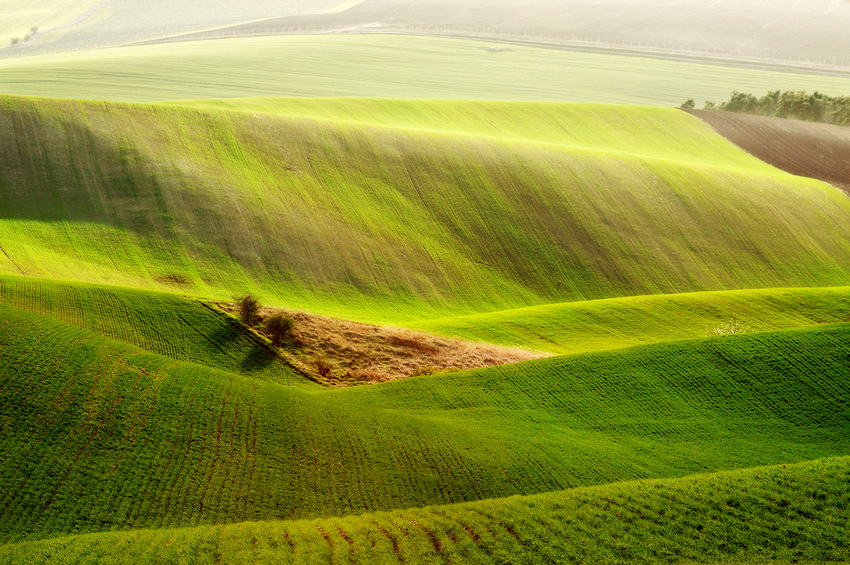 Le printemps dans les champs de Pologne par Przemyslaw Kruk Le printemps dans les champs de Pologne et republique tcheque par Przemyslaw Kruk 4 Le-printemps-dans-les-champs-de-Pologne-et-republique-tcheque-par-Przemyslaw-Kruk-4