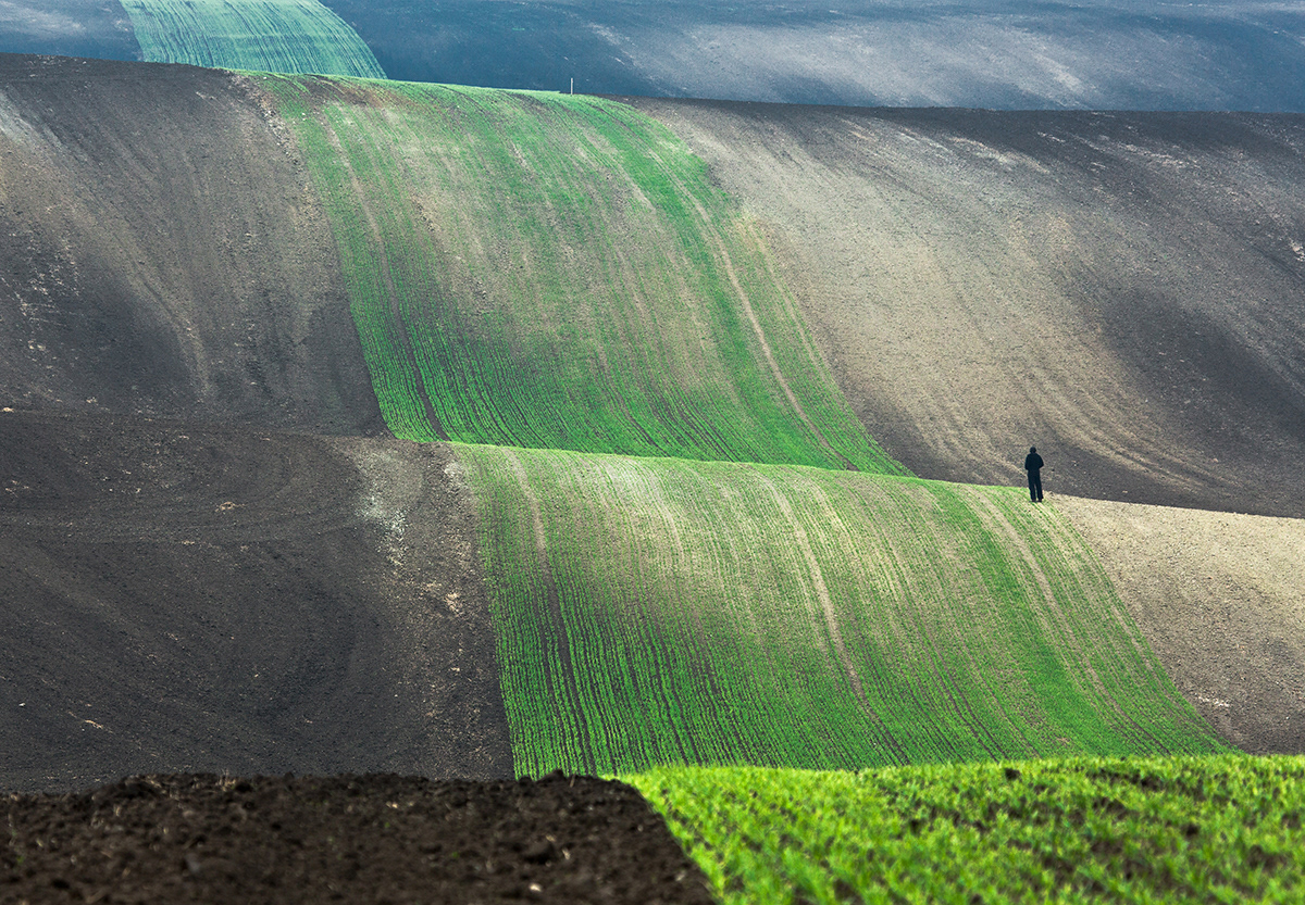 Le printemps dans les champs de Pologne par Przemyslaw Kruk Le printemps dans les champs de Pologne et republique tcheque par Przemyslaw Kruk 5 Le-printemps-dans-les-champs-de-Pologne-et-republique-tcheque-par-Przemyslaw-Kruk-5