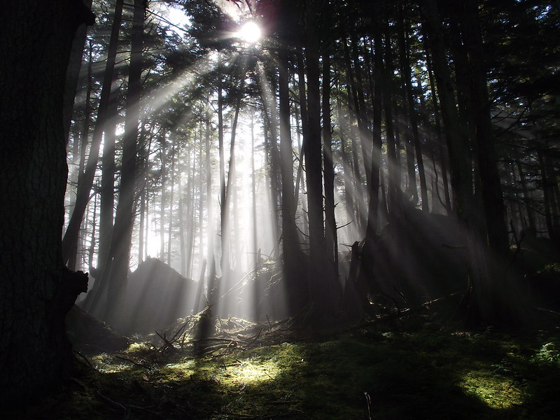 La beauté cachée des îles Haida Gwaii ou îles de la Reine-Charlotte La beaute cachee des iles Haida Gwaii ou iles de la Reine Charlotte 9 La-beaute-cachee-des-iles-Haida-Gwaii-ou-iles-de-la-Reine-Charlotte-9