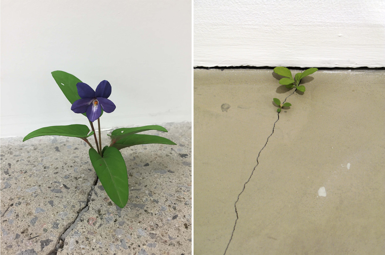 Les délicates sculptures de fleurs de bois de Yoshihiro Suda Les delicates sculptures de fleurs de bois de Yoshihiro Suda 4 Les-delicates-sculptures-de-fleurs-de-bois-de-Yoshihiro-Suda-4