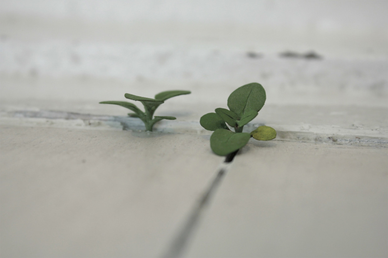 Les délicates sculptures de fleurs de bois de Yoshihiro Suda Les delicates sculptures de fleurs de bois de Yoshihiro Suda 9 Les-delicates-sculptures-de-fleurs-de-bois-de-Yoshihiro-Suda-9